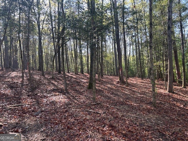 0 Bullock Bridge Road, Unit TRACT 4 Loganville, GA 30656 - Photo 16 of 36