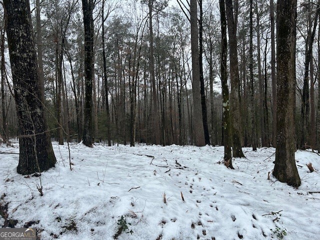 0 Bullock Bridge Road, Unit TRACT 4 Loganville, GA 30656 - Photo 19 of 36