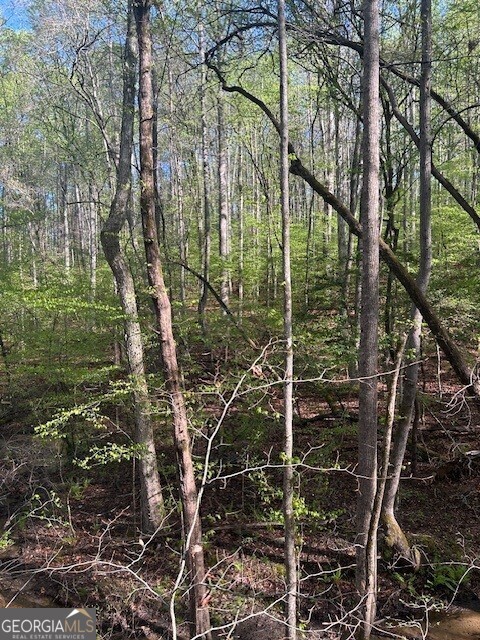 0 Bullock Bridge Road, Unit TRACT 4 Loganville, GA 30656 - Photo 28 of 36