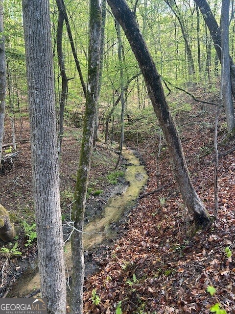 0 Bullock Bridge Road, Unit TRACT 4 Loganville, GA 30656 - Photo 29 of 36