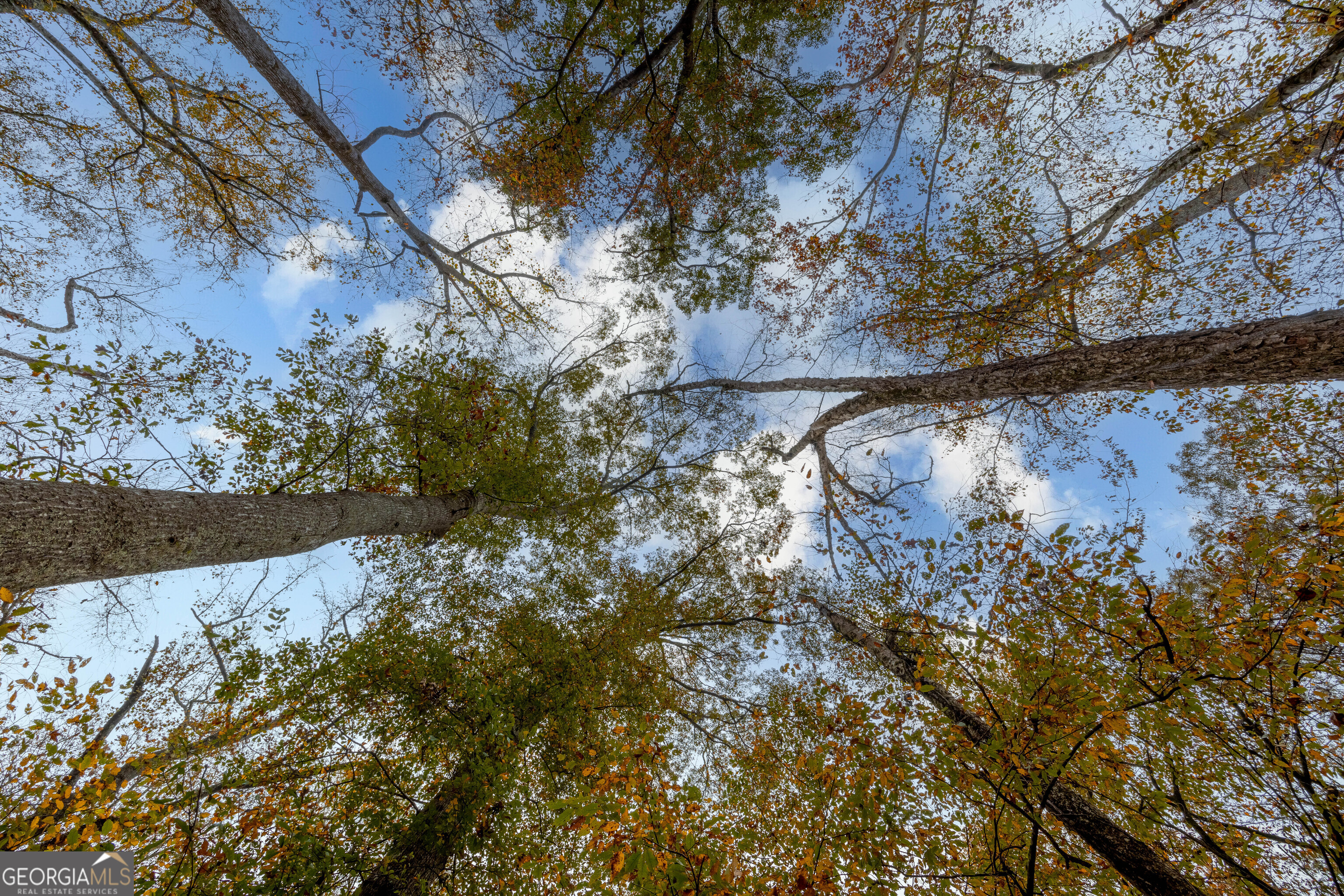 0 Bullock Bridge Road, Unit TRACT 4 Loganville, GA 30656 - Photo 3 of 36