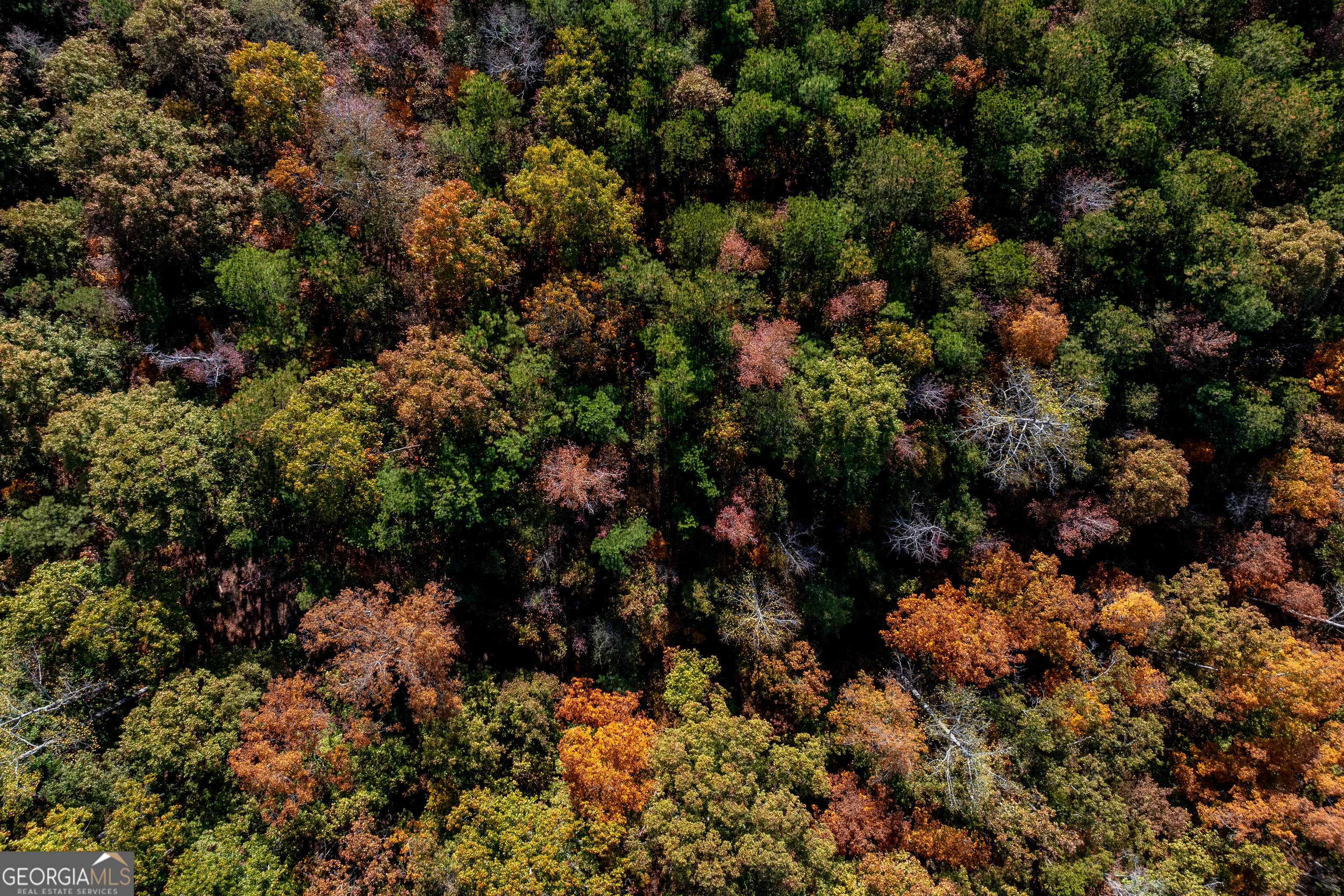 0 Bullock Bridge Road, Unit TRACT 4 Loganville, GA 30656 - Photo 33 of 36