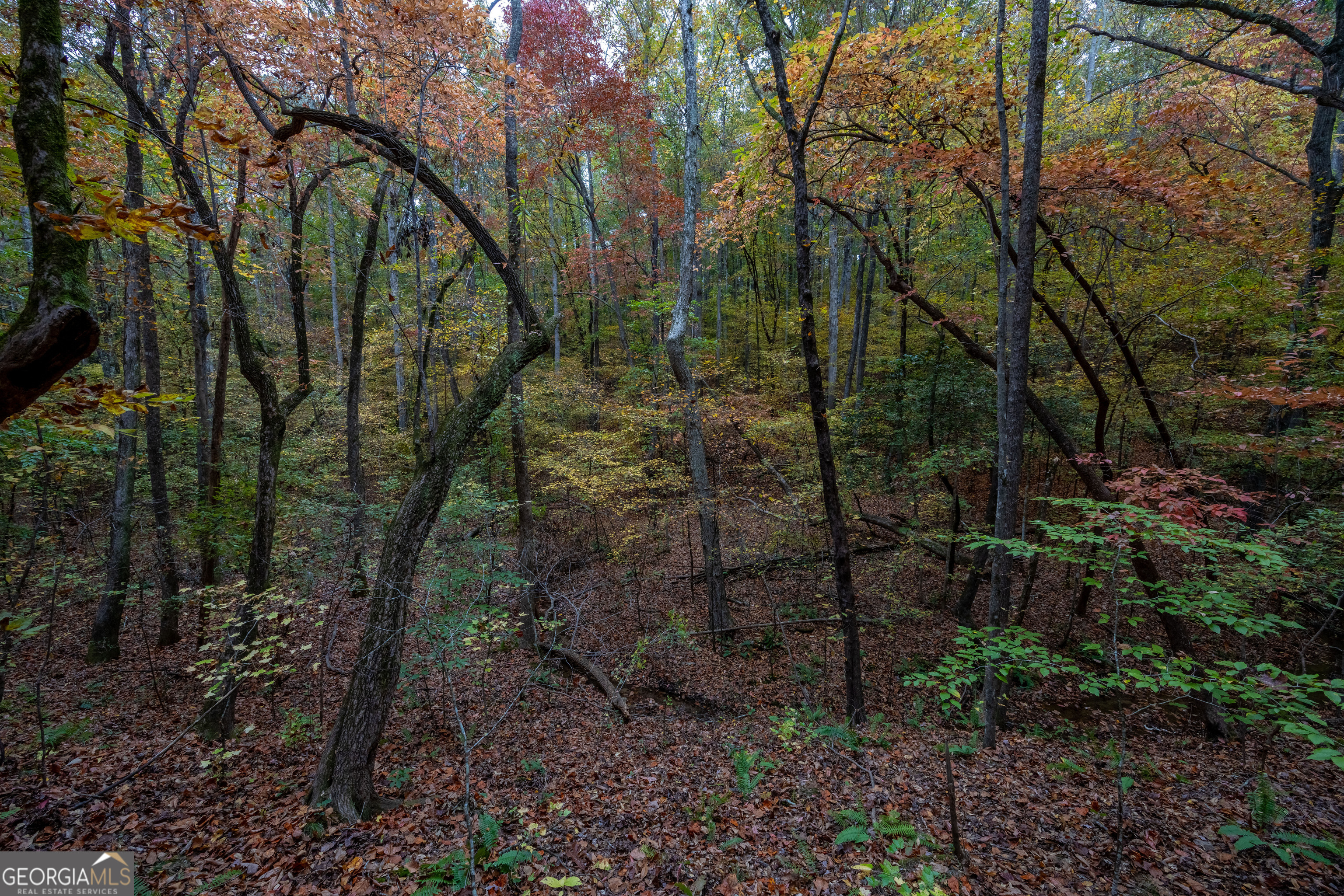 0 Bullock Bridge Road, Unit TRACT 4 Loganville, GA 30656 - Photo 35 of 36