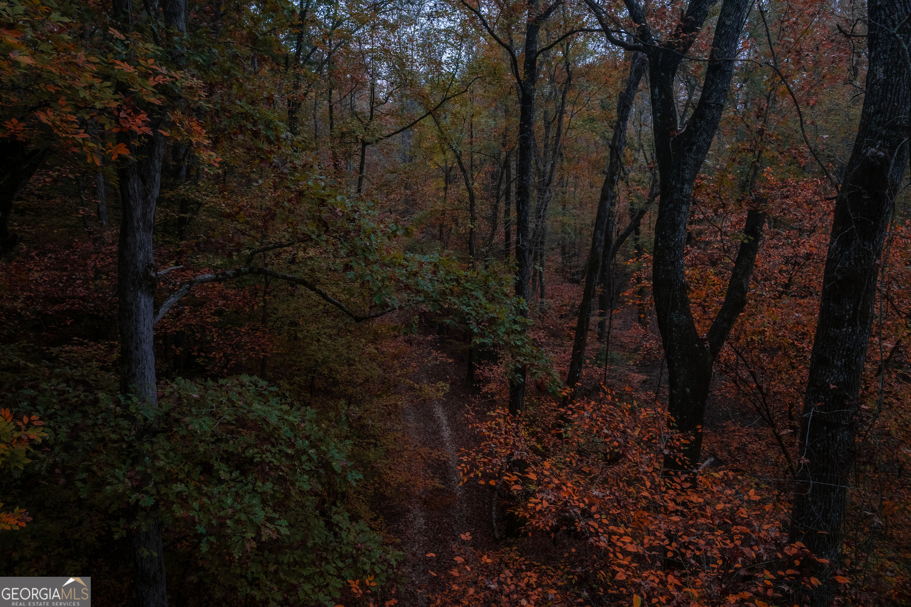 0 Bullock Bridge Road, Unit TRACT 4 Loganville, GA 30656 - Photo 4 of 36