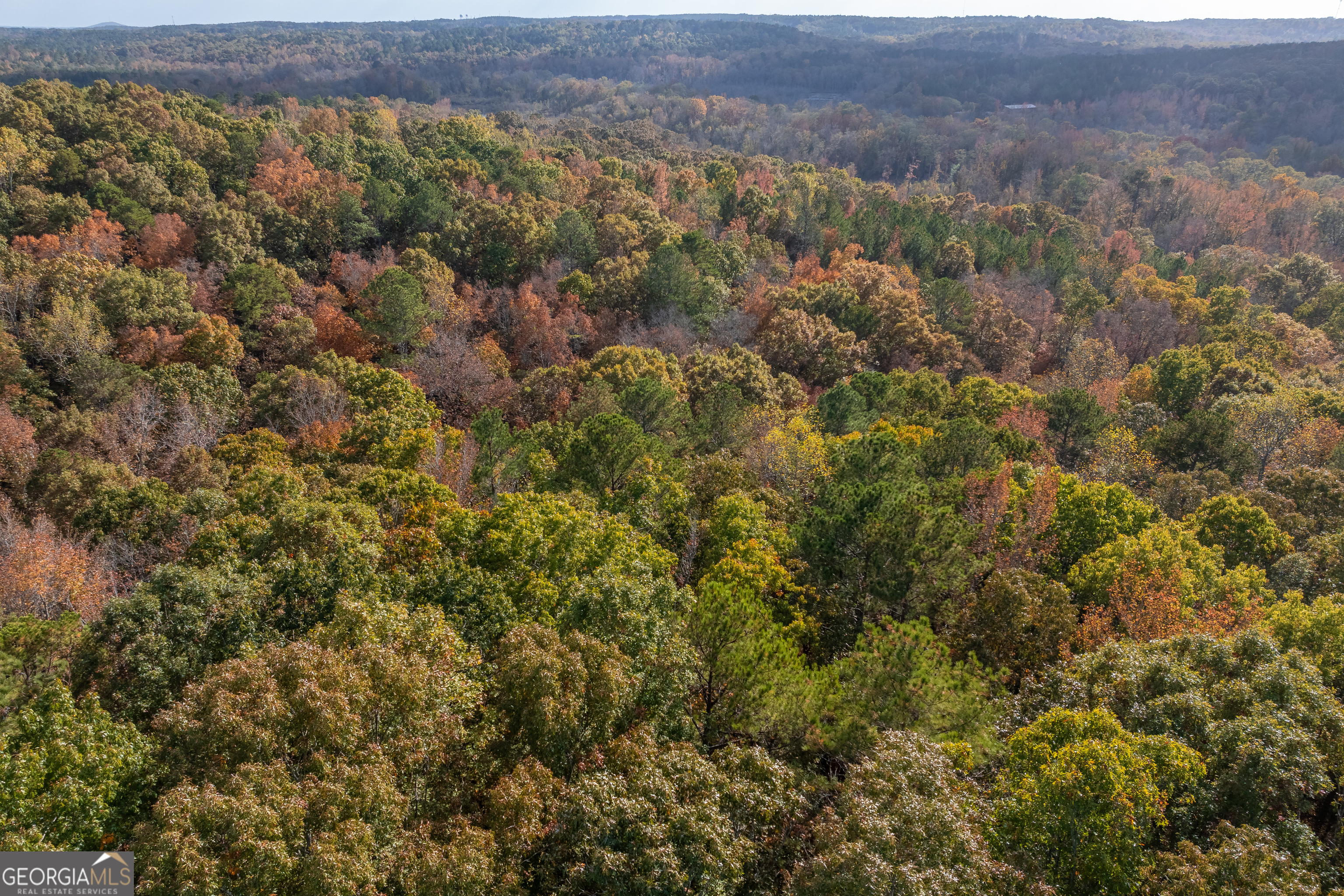 0 Bullock Bridge Road, Unit TRACT 4 Loganville, GA 30656 - Photo 6 of 36