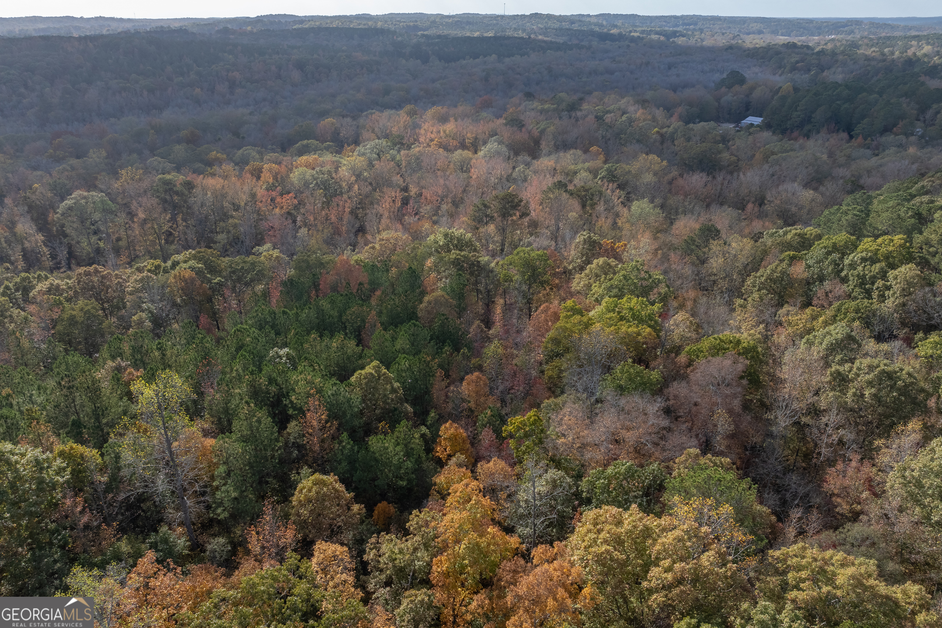 0 Bullock Bridge Road, Unit TRACT 4 Loganville, GA 30656 - Photo 7 of 36