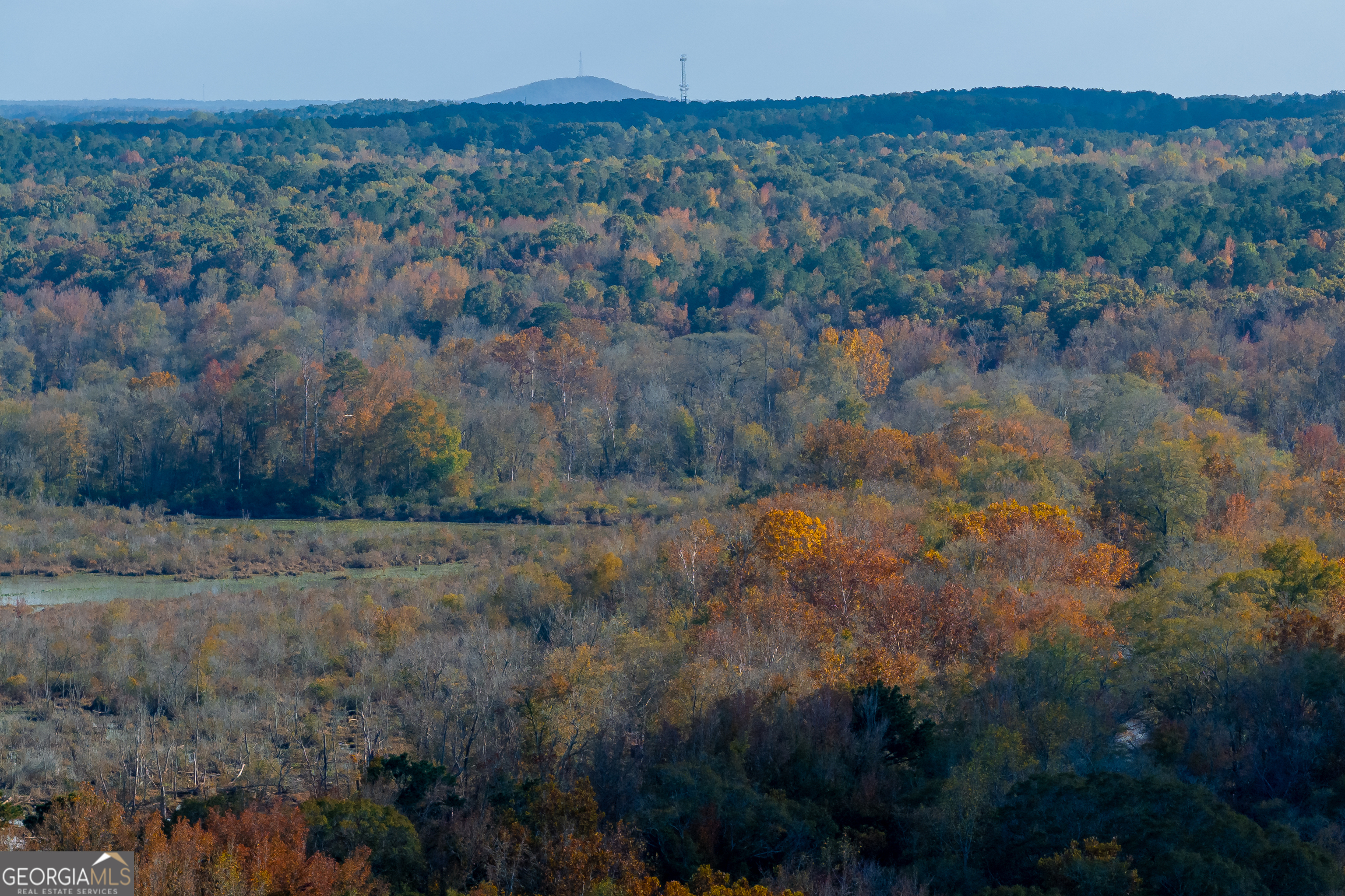 0 Bullock Bridge Road, Unit TRACT 4 Loganville, GA 30656 - Photo 9 of 36