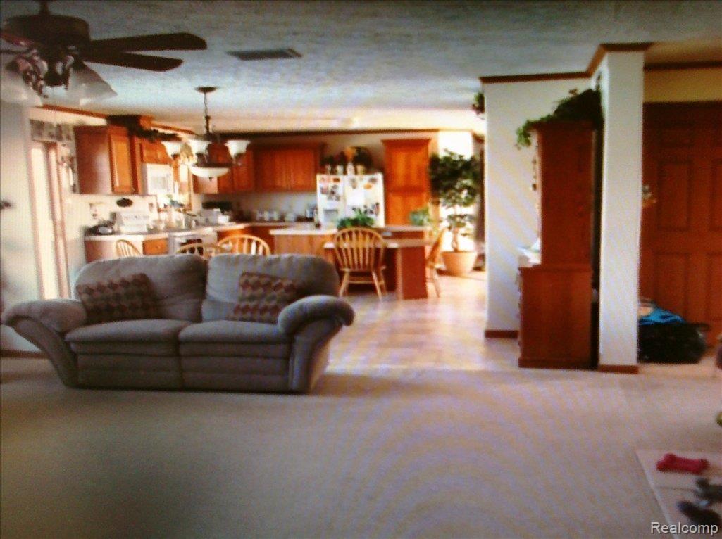 6868 Connell Road Yale, MI 48097 - Photo 14 of 15 palm pre all pics 417