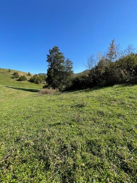 0 McCarter Hollow Road Sevierville, TN 37862 - Photo 16 of 17