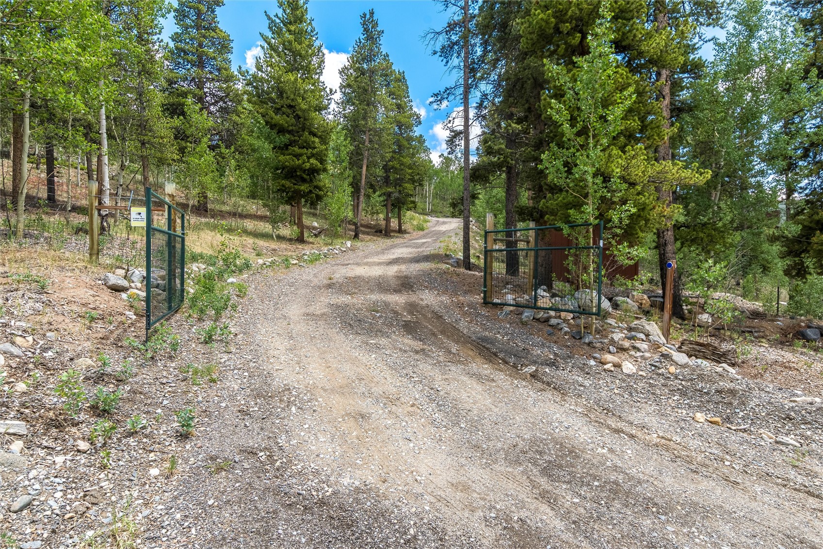 592 Ponderosa Road Fairplay, CO 80440 - Photo 39 of 45 a view of a park with large trees