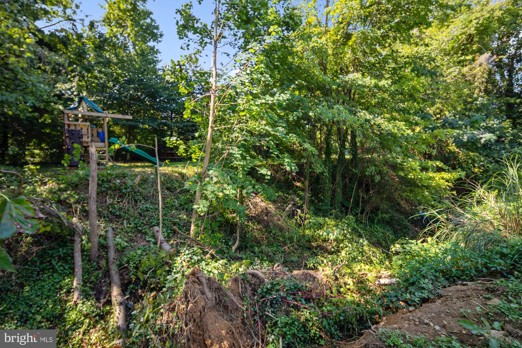 1353 Blue Ball Road Elkton, MD 21921 - Photo 29 of 33 Backyard