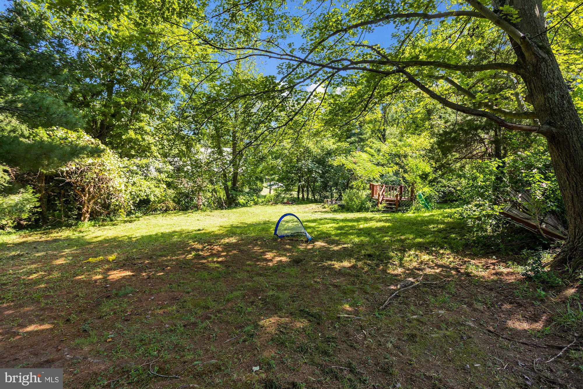 1353 Blue Ball Road Elkton, MD 21921 - Photo 32 of 33 Backyard