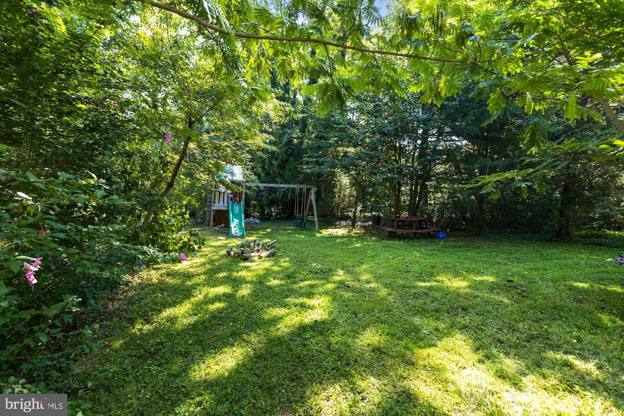 1353 Blue Ball Road Elkton, MD 21921 - Photo 33 of 33 Backyard