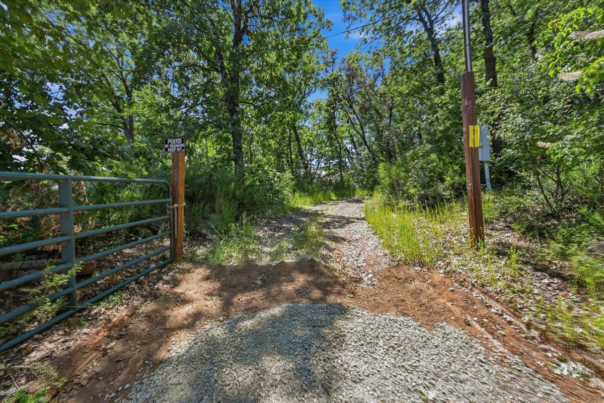 20154 Sky Ridge Place Nevada City, CA 95959 - Photo 20 of 20 a view of a yard with plants and large trees
