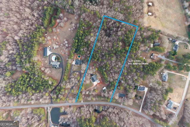 a view of a yard in front of a house