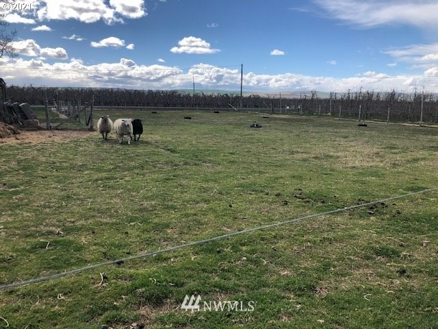 52987 Appleton Road Milton Freewater, OR 97862 - Photo 18 of 23