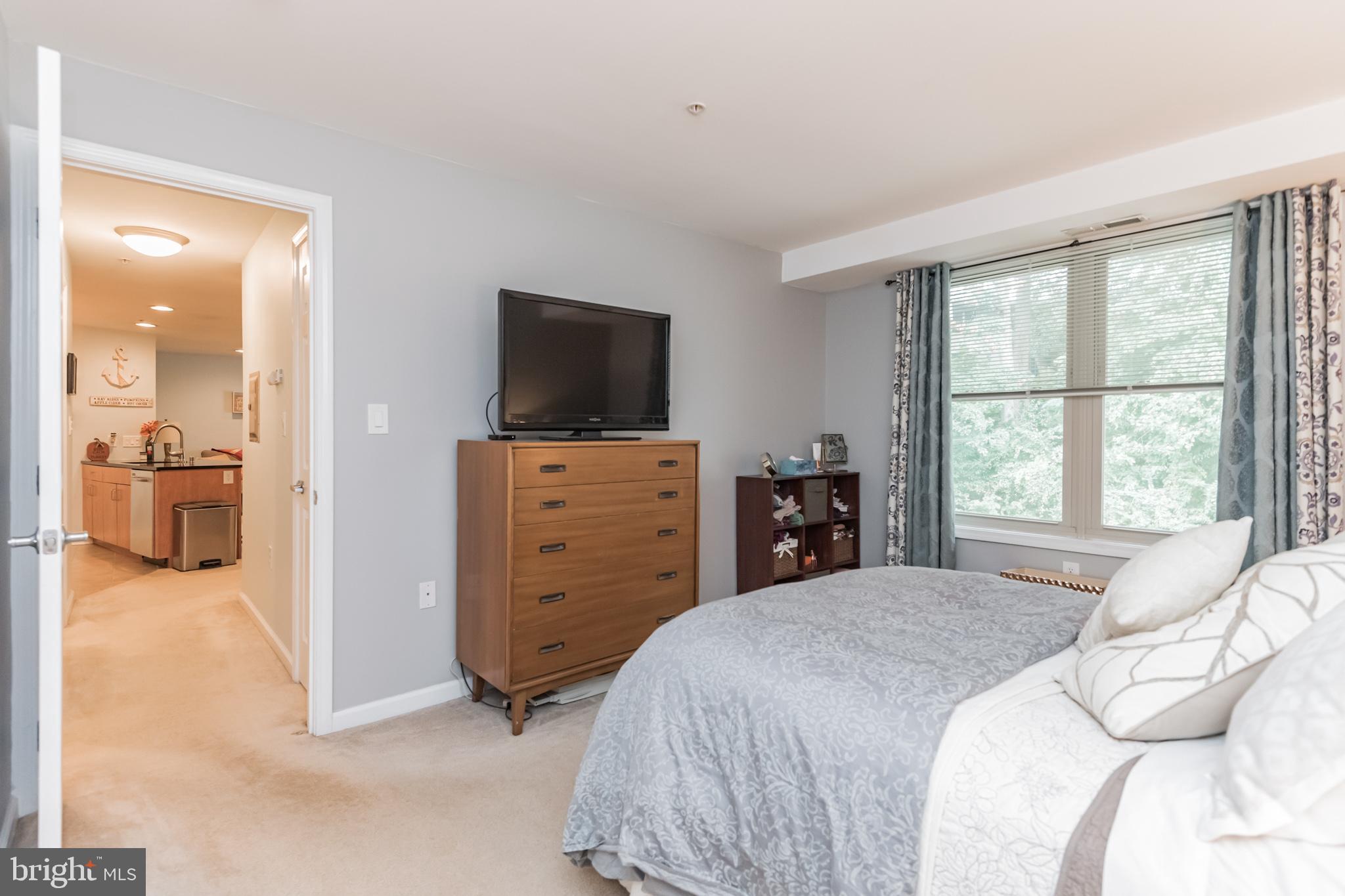 1006 Primrose Road, Unit 301 Annapolis, MD 21403 - Photo 18 of 22 Master Bedroom