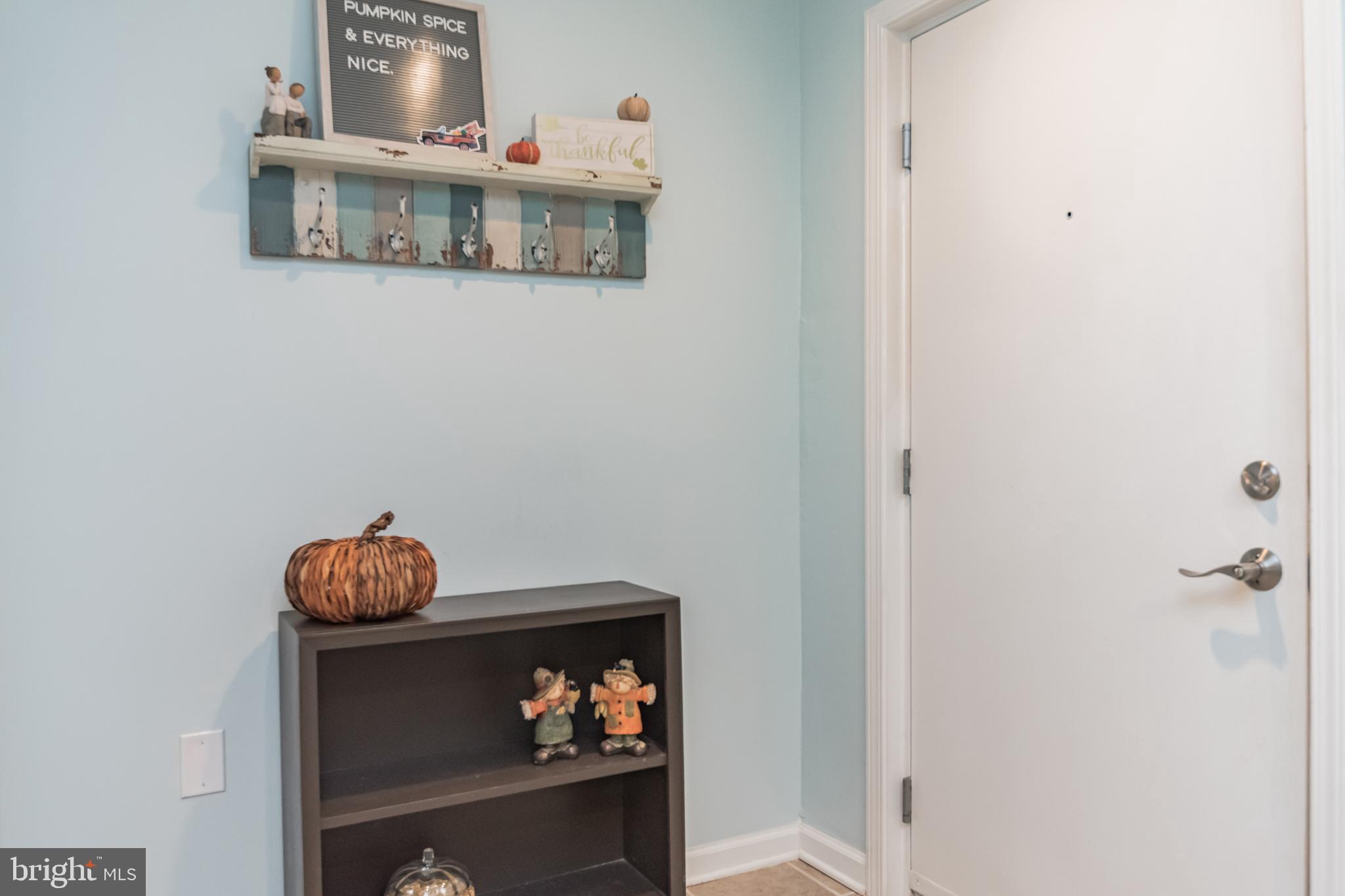 1006 Primrose Road, Unit 301 Annapolis, MD 21403 - Photo 3 of 22 Entry Foyer