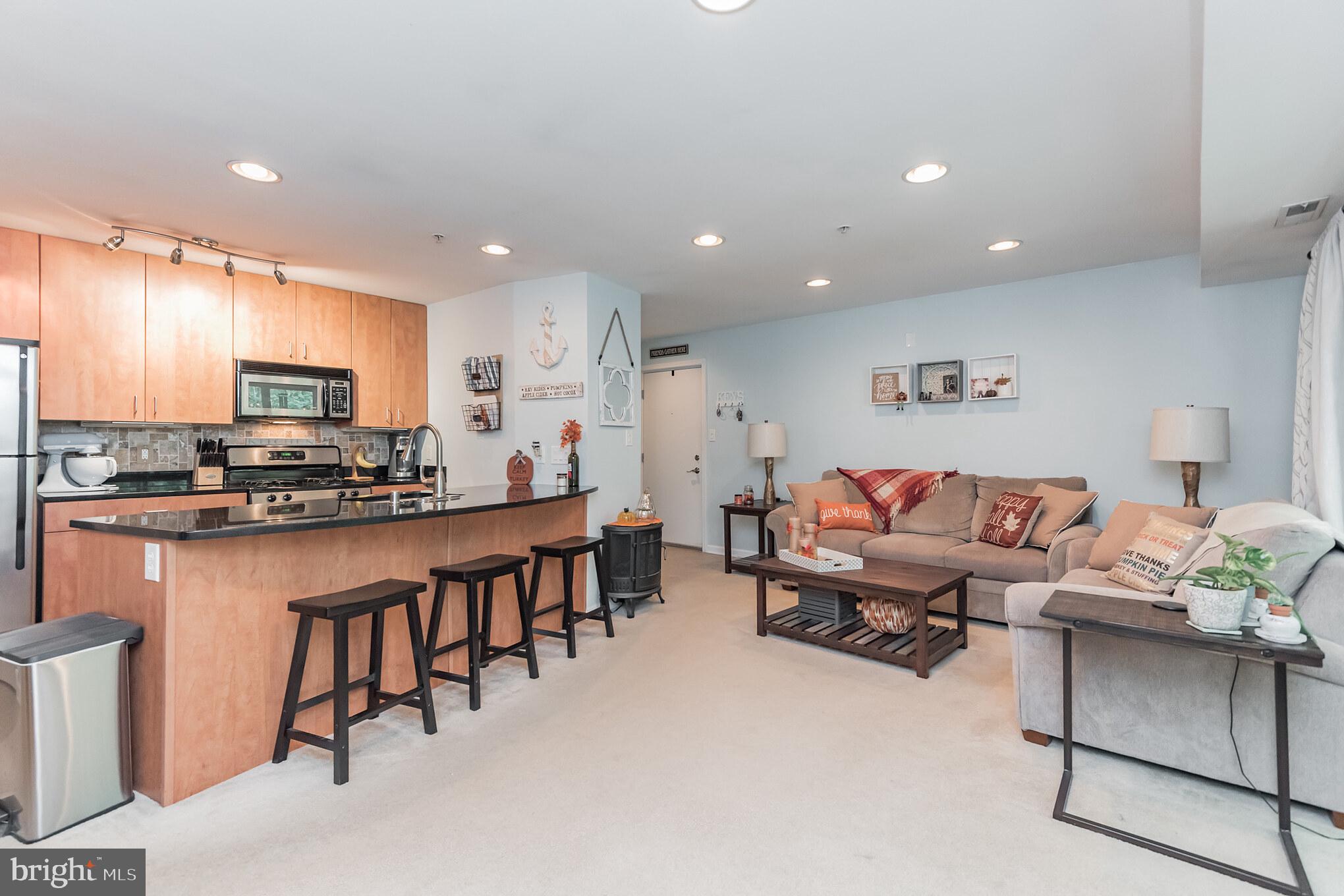 1006 Primrose Road, Unit 301 Annapolis, MD 21403 - Photo 4 of 22 Gallery Image 4