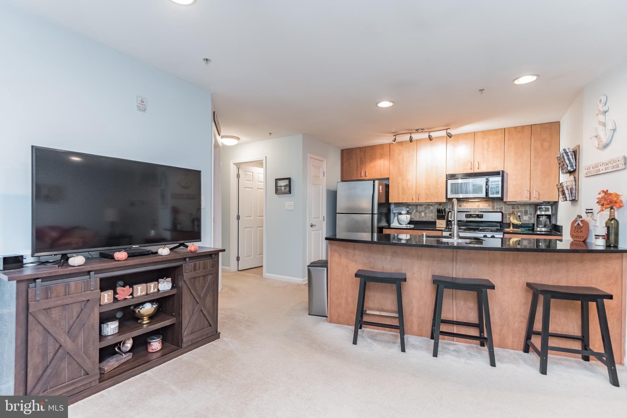 1006 Primrose Road, Unit 301 Annapolis, MD 21403 - Photo 7 of 22 Gallery Image 7