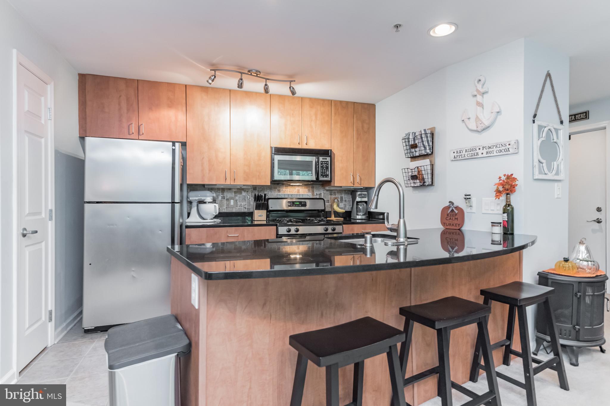 1006 Primrose Road, Unit 301 Annapolis, MD 21403 - Photo 8 of 22 Gallery Image 8