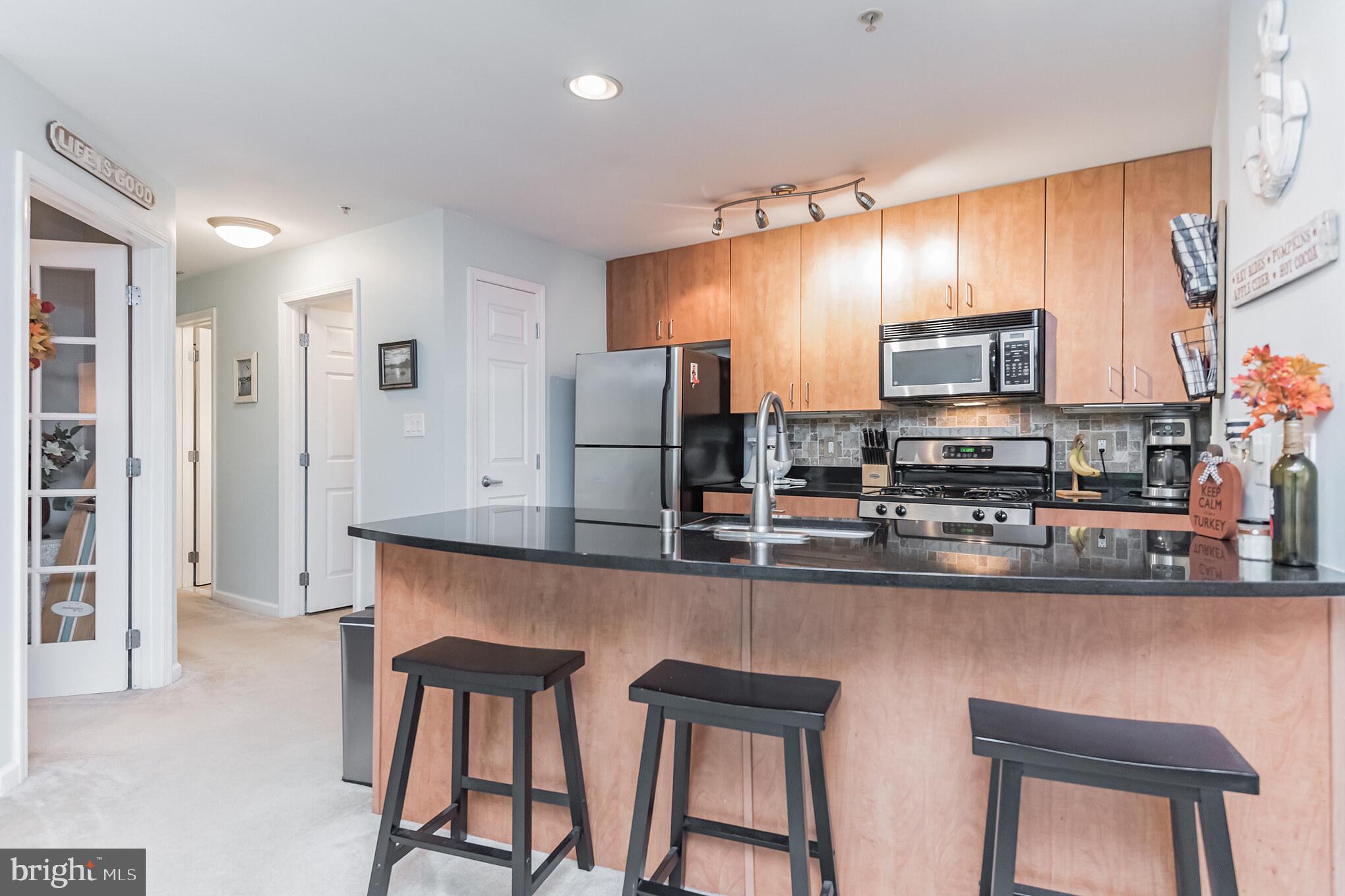 1006 Primrose Road, Unit 301 Annapolis, MD 21403 - Photo 9 of 22 Gallery Image 9