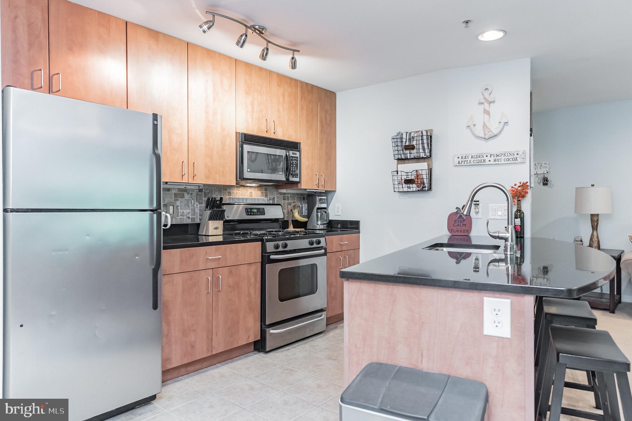 1006 Primrose Road, Unit 301 Annapolis, MD 21403 - Photo 10 of 22 Gallery Image 10