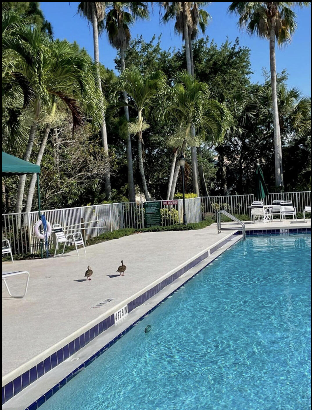 7024 Southeast Cricket Court Stuart, FL 34997 - Photo 11 of 11 Community Pool