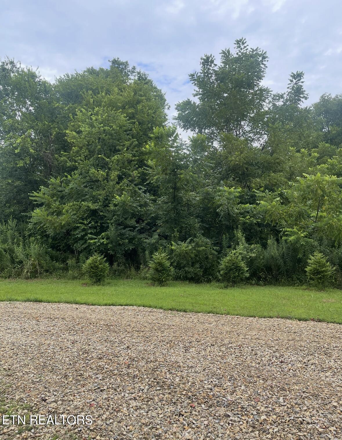 Wooded Lot with RIverfront
