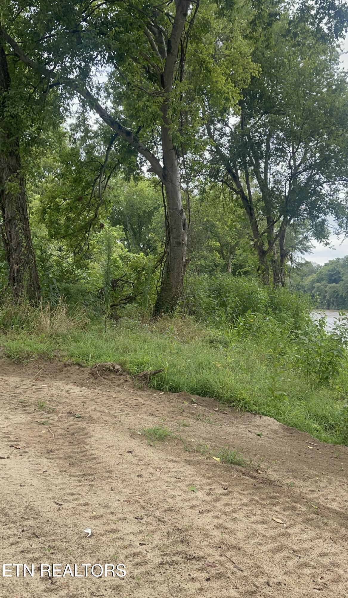 121 River Chase Way Newport, TN 37821 - Photo 3 of 6 Wooded Lot