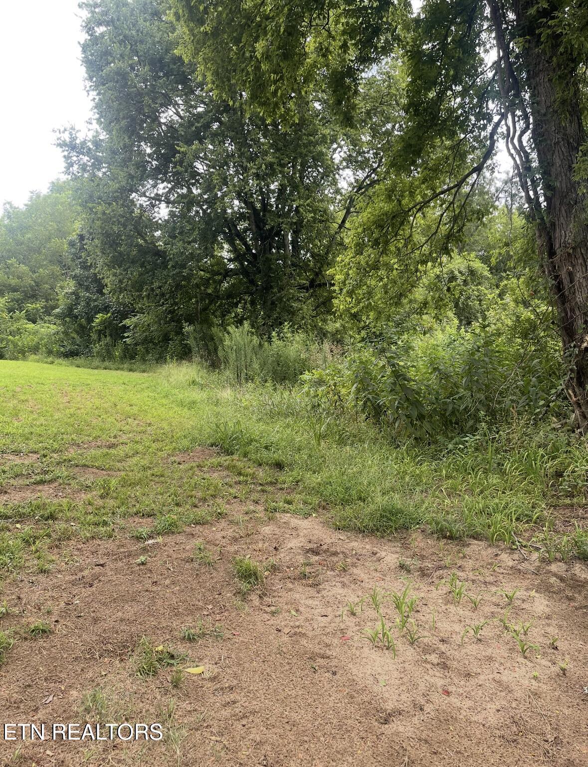 121 River Chase Way Newport, TN 37821 - Photo 4 of 6 Wooded Lot 2