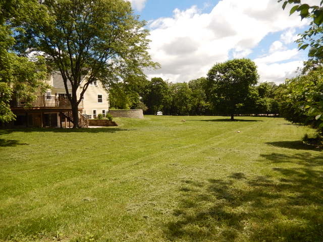 11215 79th Street Burr Ridge, IL 60527 - Photo 22 of 25 a view of a field with trees in the background