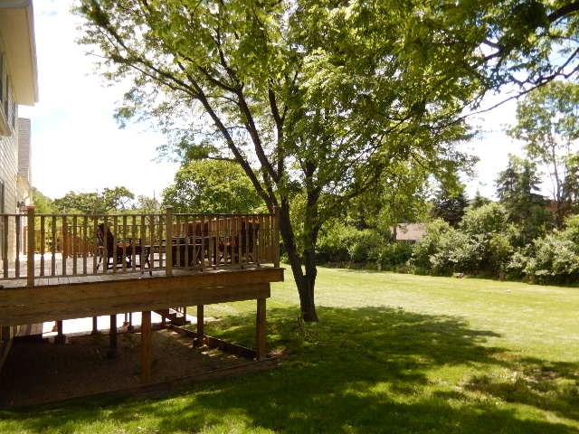 11215 79th Street Burr Ridge, IL 60527 - Photo 24 of 25 a view of a yard with a tree