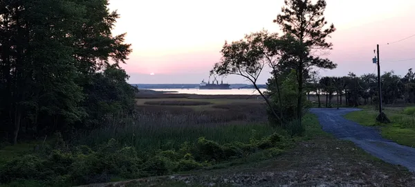 $1,700,000 | 8 Yellow House Place, Charleston, SC 29492