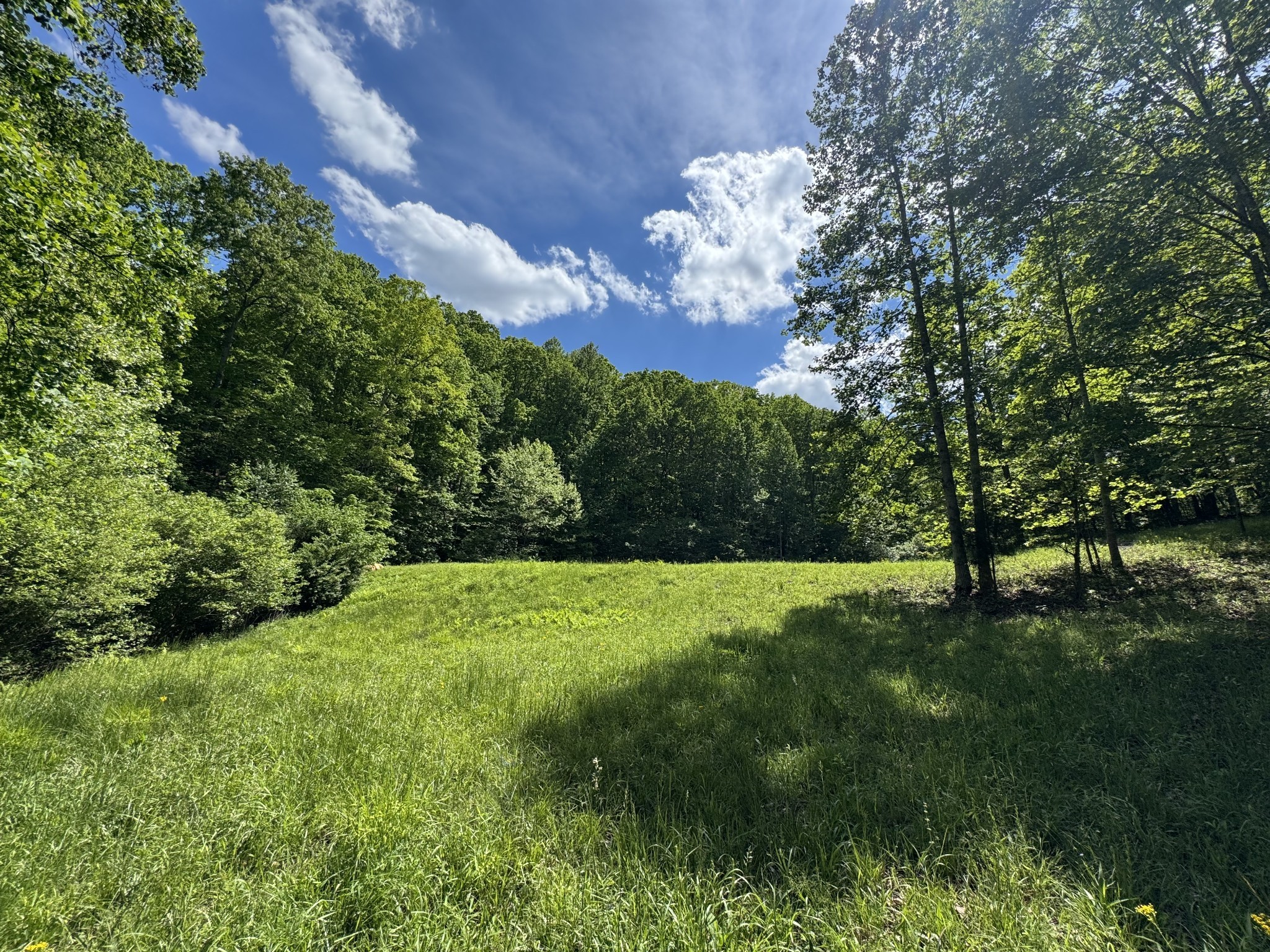 283 Dyestone Springs Road Hohenwald, TN 38462 - Photo 3 of 70 Gallery Image 3