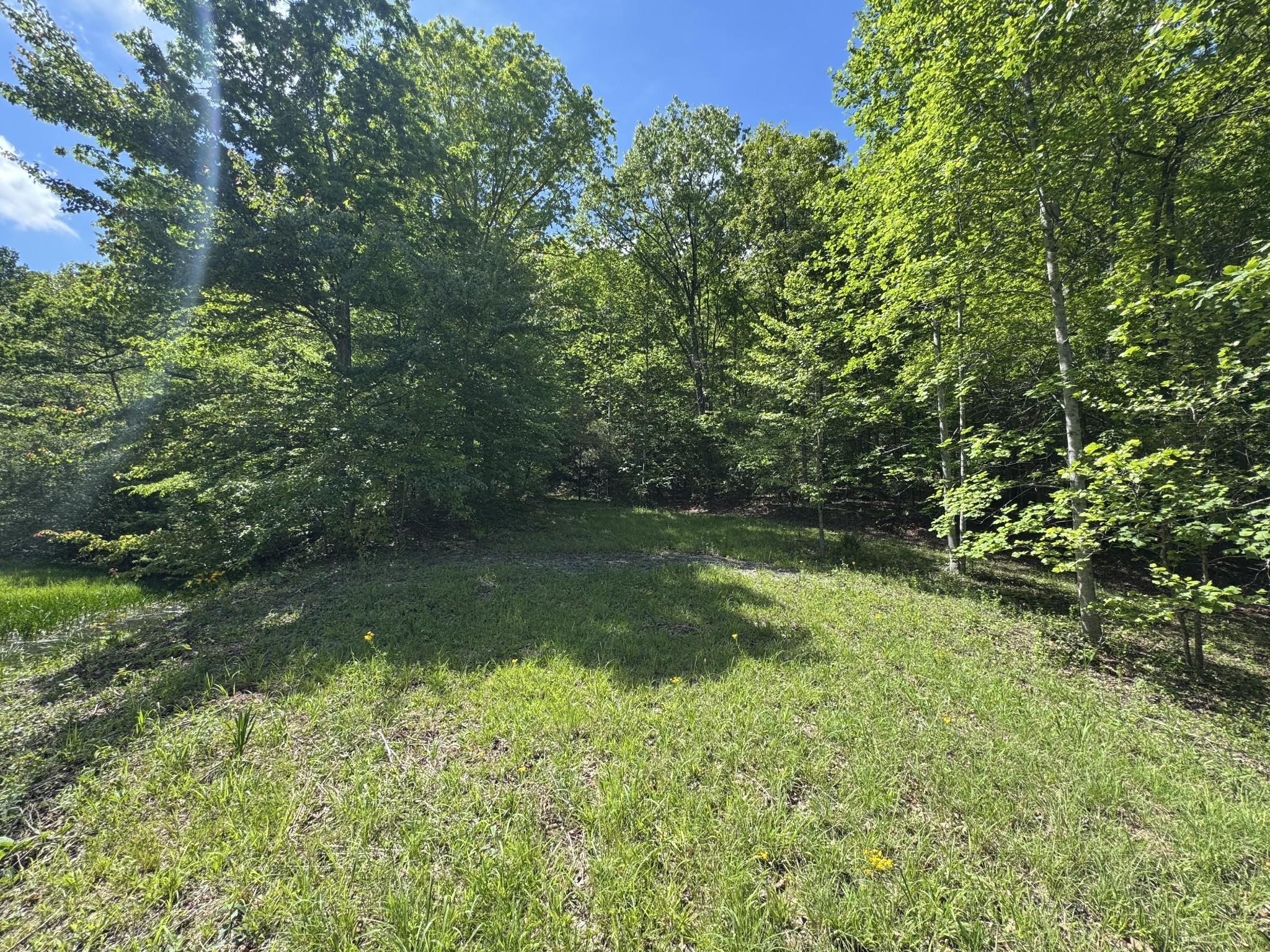 283 Dyestone Springs Road Hohenwald, TN 38462 - Photo 36 of 70 Gallery Image 36