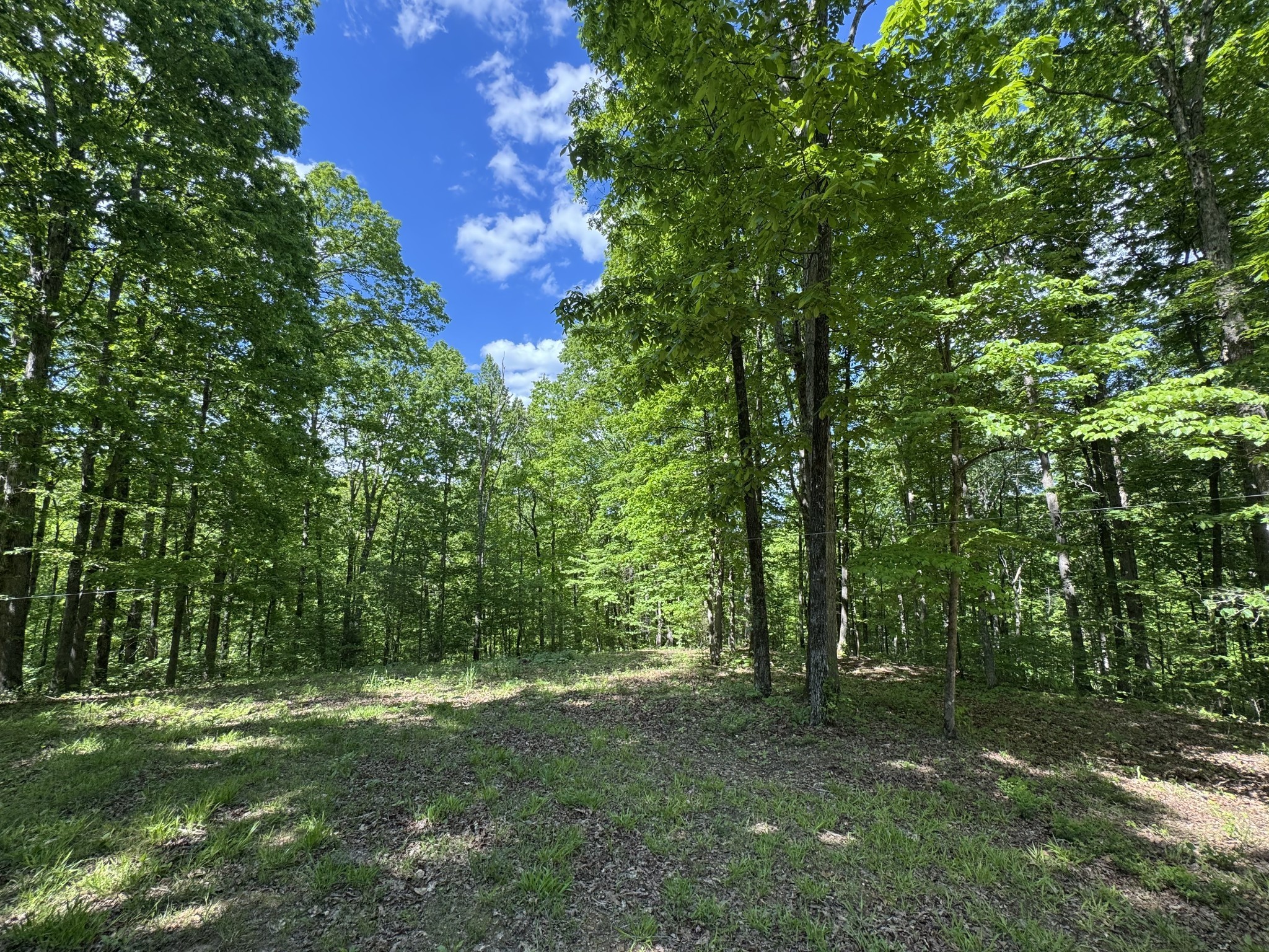 283 Dyestone Springs Road Hohenwald, TN 38462 - Photo 38 of 70 Gallery Image 38