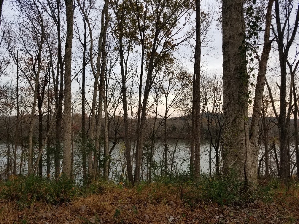 1099 East Robertson Road Castalian Springs, TN 37031 - Photo 11 of 11 Gallery Image 11