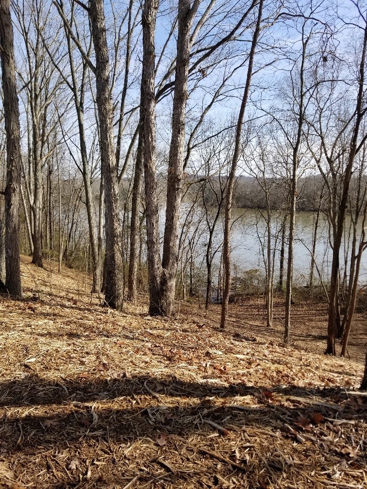 1099 East Robertson Road Castalian Springs, TN 37031 - Photo 5 of 11 Gallery Image 5