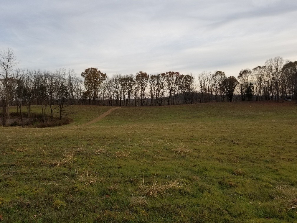 1099 East Robertson Road Castalian Springs, TN 37031 - Photo 7 of 11 Gallery Image 7