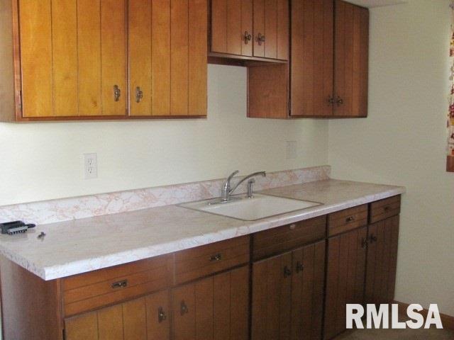 355 West Chestnut Street Canton, IL 61520 - Photo 4 of 27 Gallery Image 4