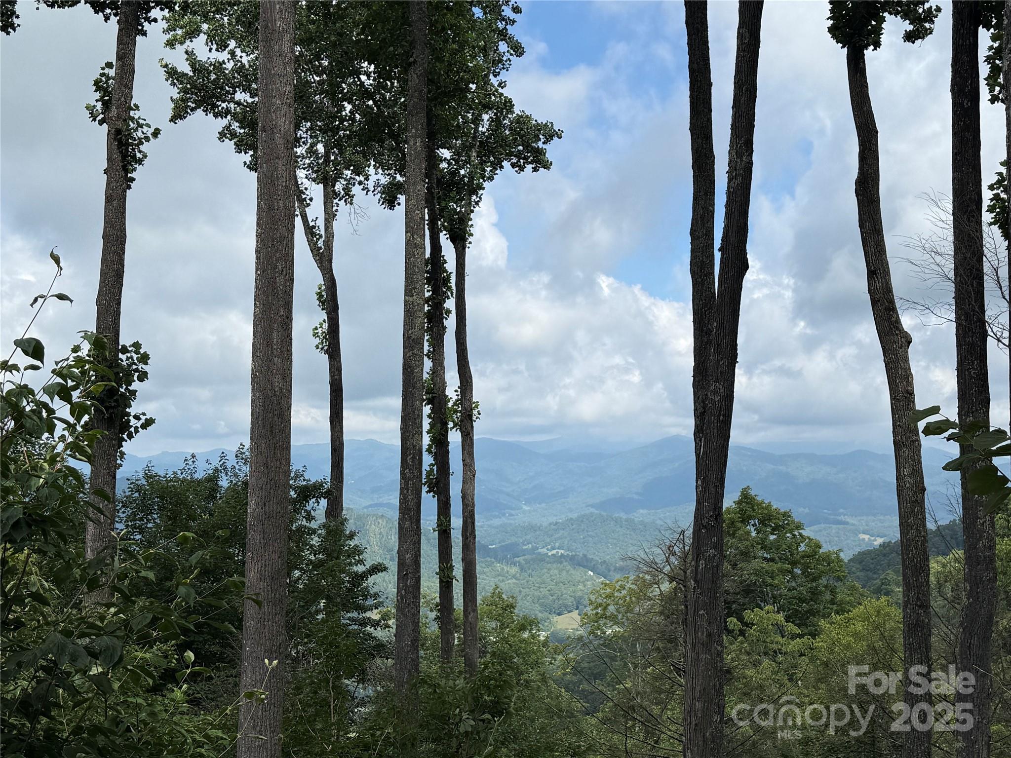 528 Andrew Banks Road, Unit A/3 Burnsville, NC 28714 - Photo 2 of 31 a close up of a tree in front of a yard