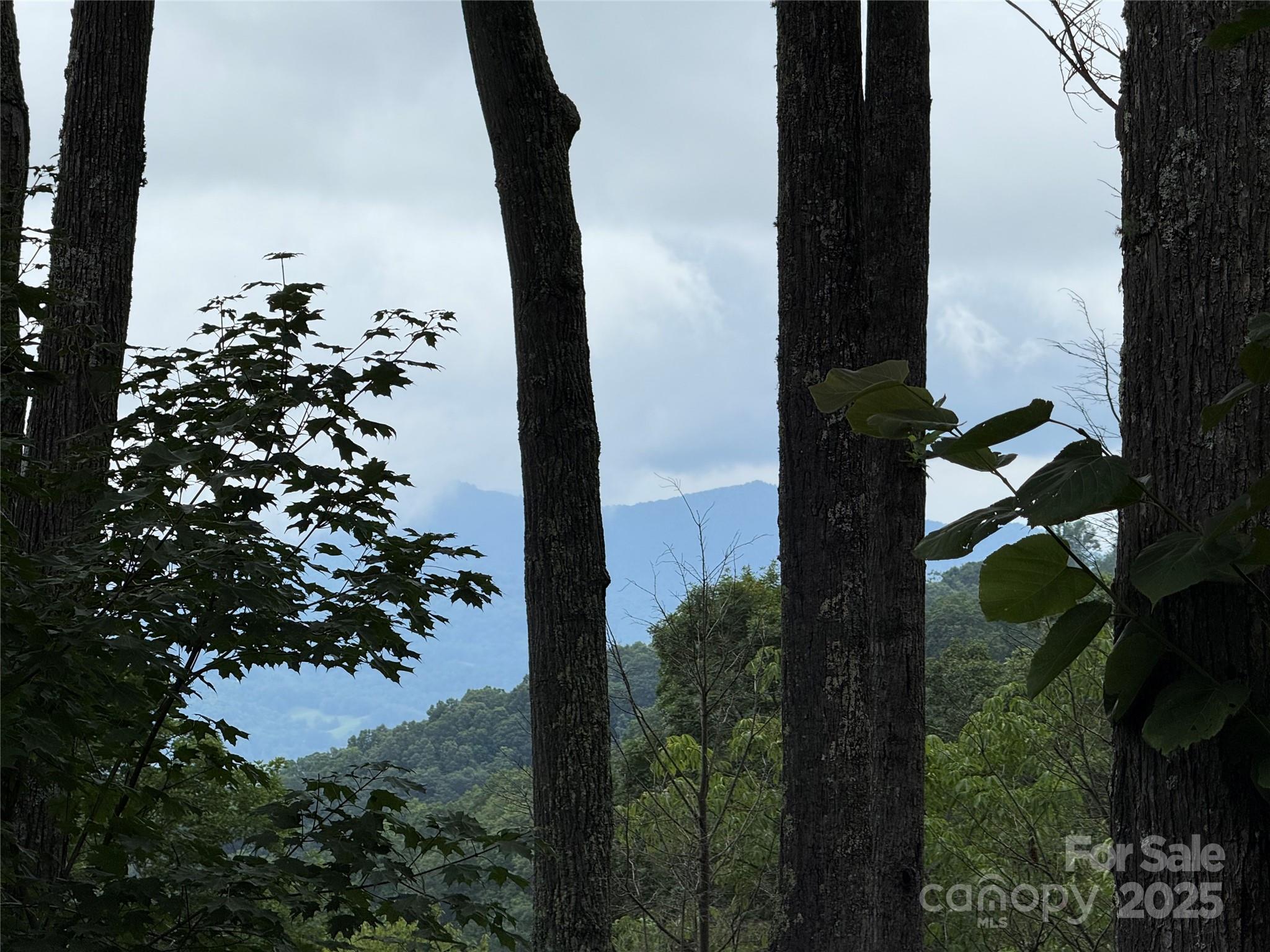 528 Andrew Banks Road, Unit A/3 Burnsville, NC 28714 - Photo 31 of 31 a view of a yard