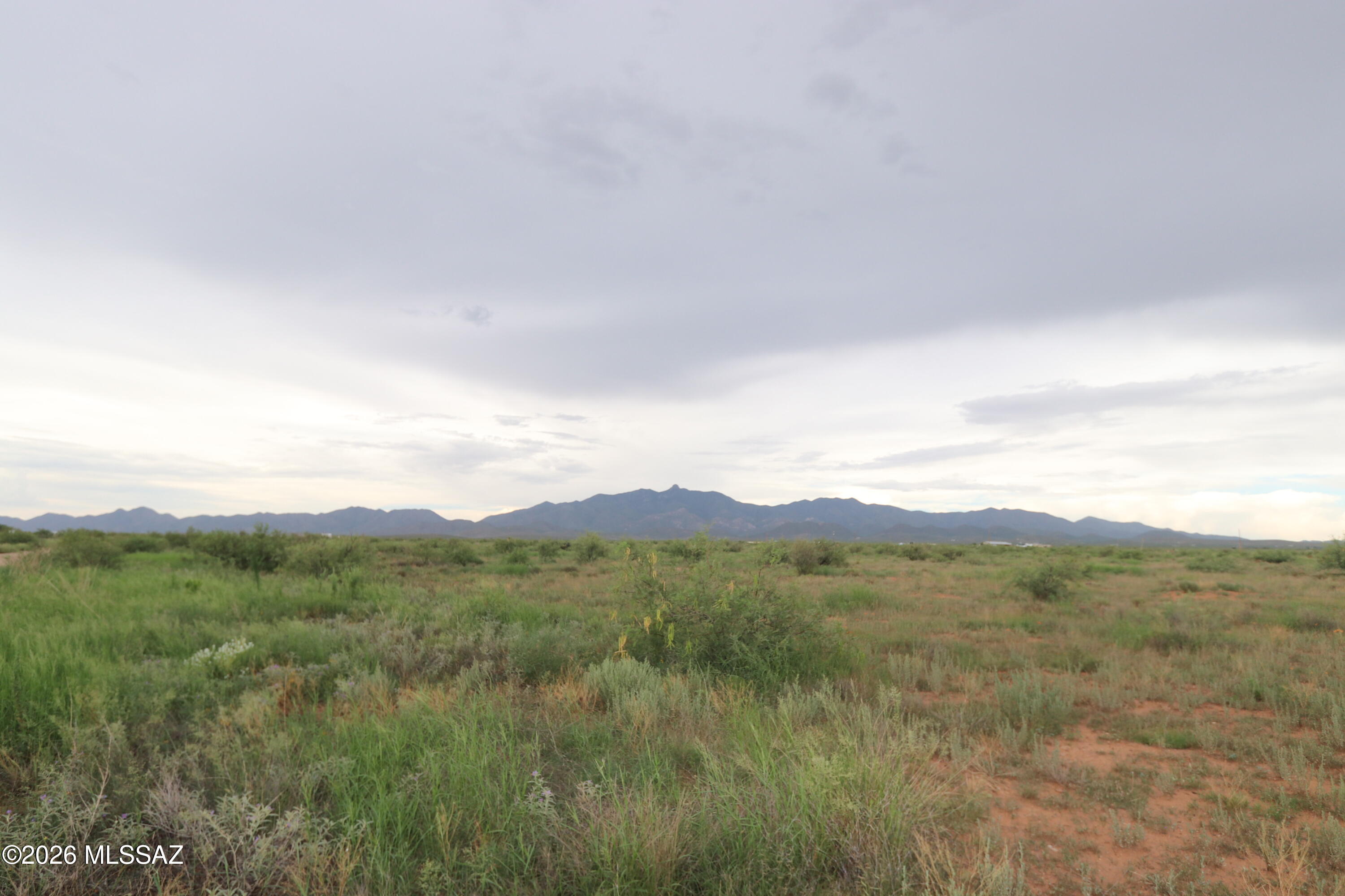 Tbd South Arzberger Road Willcox, AZ 85643 - Photo 4 of 14 IMG_0020