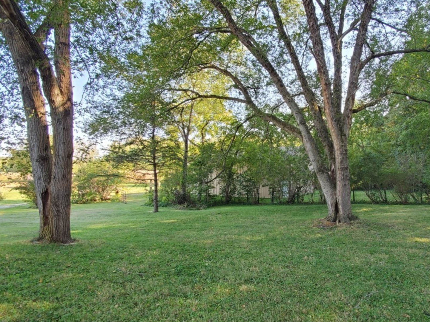 1774 North 4050th Road Sheridan, IL 60551 - Photo 4 of 19 a view of a trees with a trees in the background