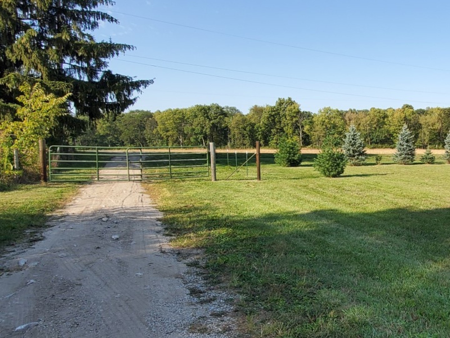 1774 North 4050th Road Sheridan, IL 60551 - Photo 5 of 19 a view of a swimming pool