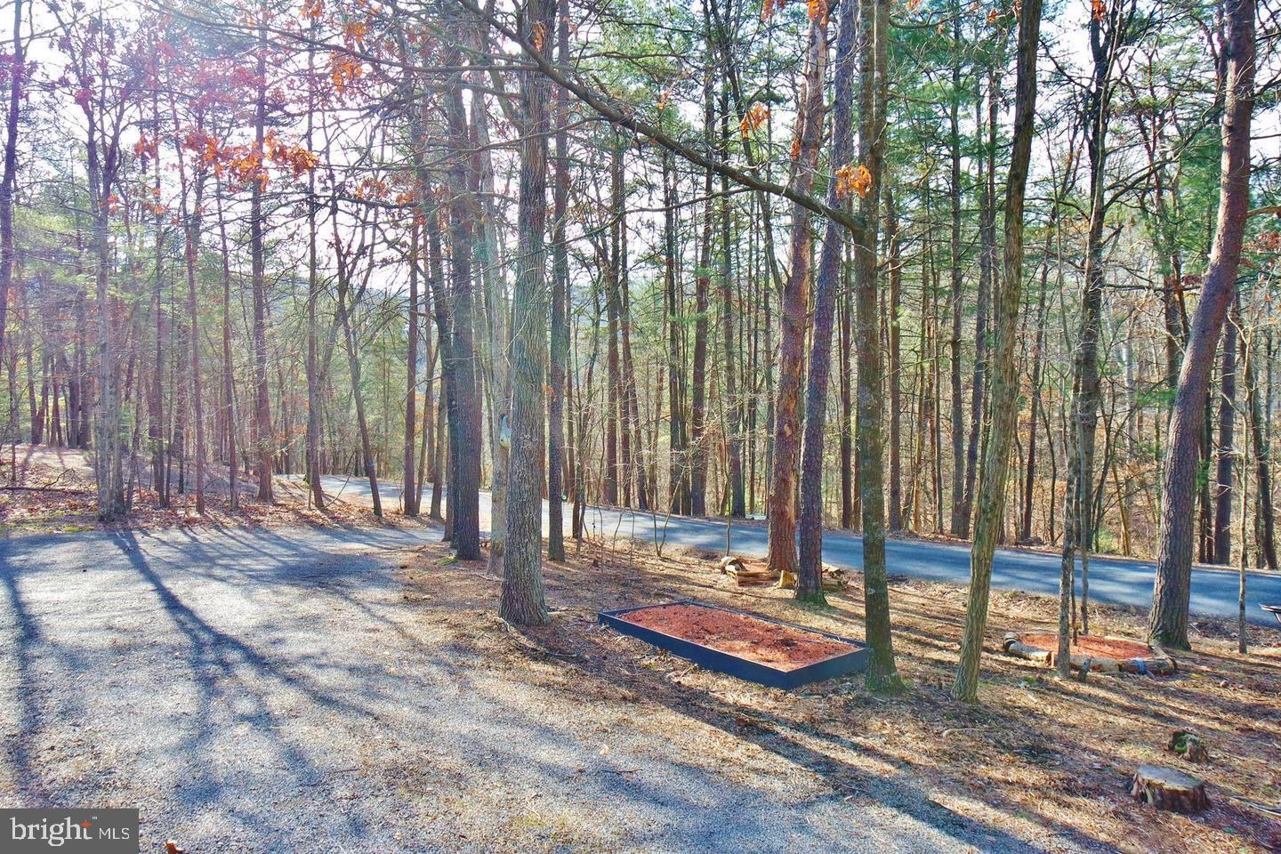 285 Player Road Basye, VA 22810 - Photo 4 of 25 Driveway