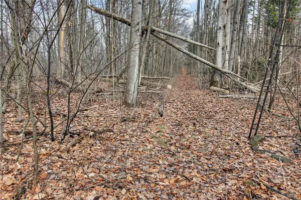 $95,900 | 6815 Grandview Lane, Prattsburgh, NY 14873