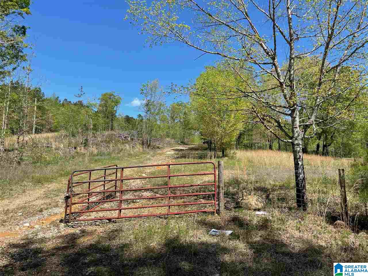 499 Greensport Road Ohatchee, AL 36271 - Photo 10 of 12