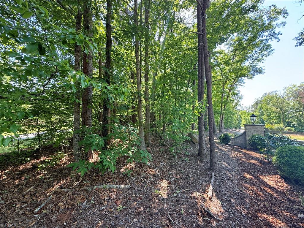 0 Barney Road High Point, NC 27265 - Photo 4 of 4